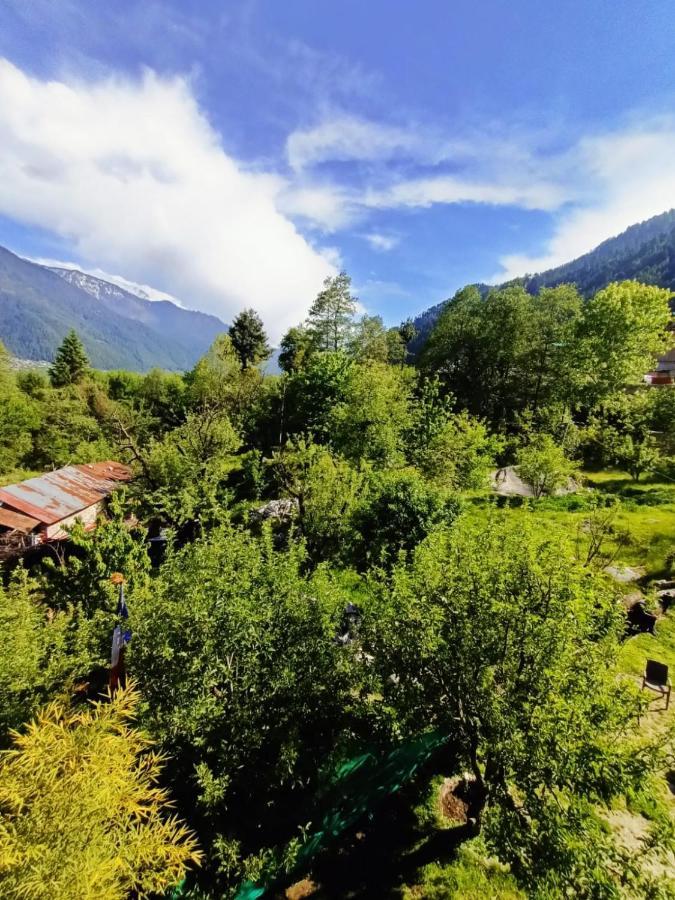 Rashpa Cottage Manāli Exteriör bild